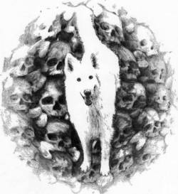 Schädelberg : Retro ad Natura Schädelberg : Retro ad Natura